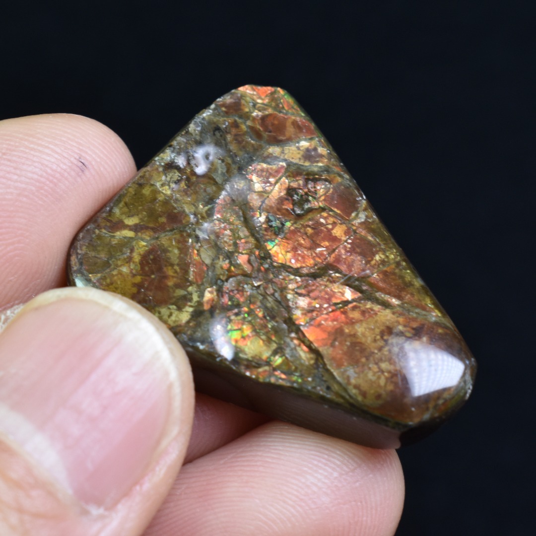 Canadian Natural Ammolite, Ammonite Freeform Polished Cabochon Specimen - 3.2cm x 2.2cm - 12.8 grams - Image 4
