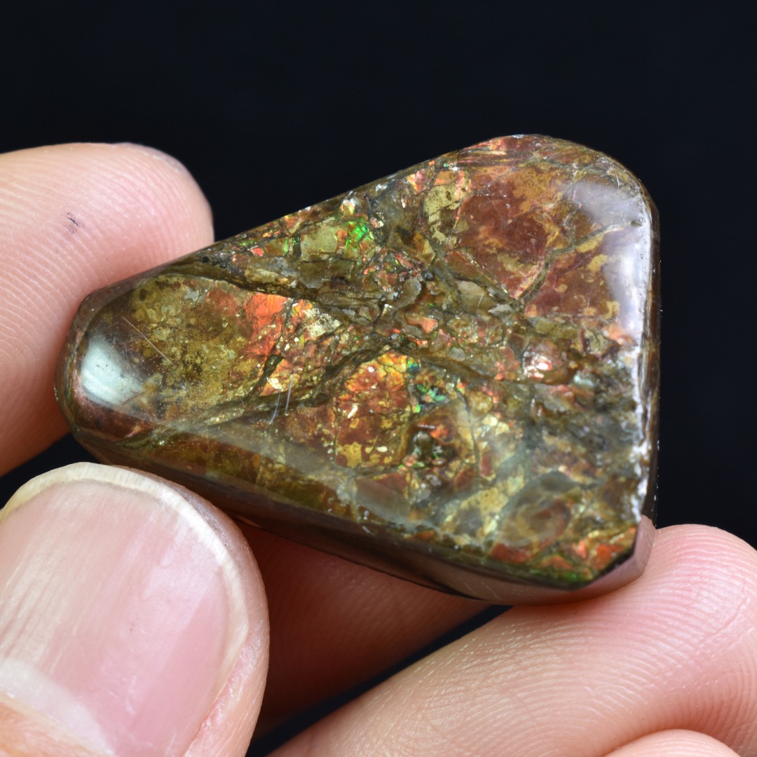 Canadian Natural Ammolite, Ammonite Freeform Polished Cabochon Specimen - 3.2cm x 2.2cm - 12.8 grams - Image 5