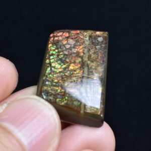 Canadian Natural Ammolite, Ammonite Freeform Polished Cabochon Specimen - 2.8cm x 1.8cm - 7 grams