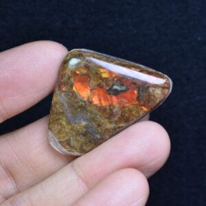 Canadian Natural Ammolite, Ammonite Freeform Polished Cabochon Specimen - 3.7cm x 2.5cm - 4.5 grams