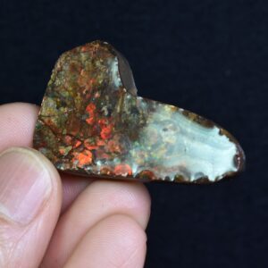 Canadian Natural Ammolite, Ammonite Freeform Polished Cabochon Specimen - 4.4cm x 2.6cm - 13.4 grams