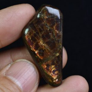 Canadian Natural Ammolite, Ammonite Freeform Polished Cabochon Specimen - 3.9cm x 1.9cm - 7.7 grams