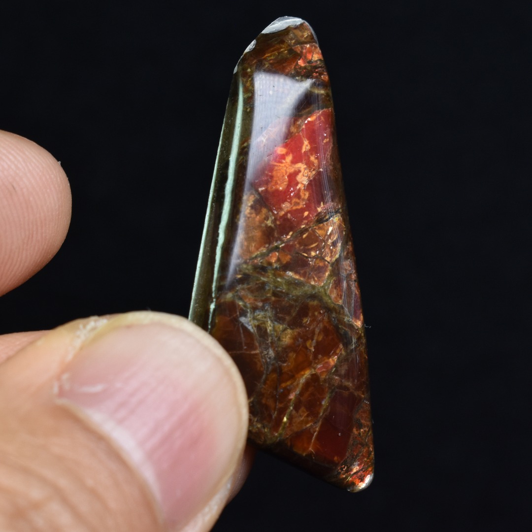 Canadian Natural Ammolite, Ammonite Freeform Polished Cabochon Specimen - 3.9cm x 1.6cm - 3.6 grams