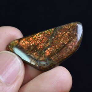 Canadian Natural Ammolite, Ammonite Freeform Polished Cabochon Specimen - 3.5cm x 1.8cm - 4.6 grams