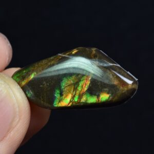 Canadian Natural Ammolite, Ammonite Freeform Polished Cabochon Specimen - 3cm x 1.5cm - 3.6 grams