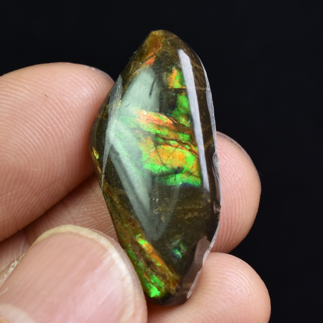 Canadian Natural Ammolite, Ammonite Freeform Polished Cabochon Specimen - 3cm x 1.5cm - 3.6 grams - Image 4