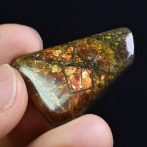 Canadian Natural Ammolite, Ammonite Freeform Polished Cabochon Specimen - 3cm x 2.3cm - 5.3 grams