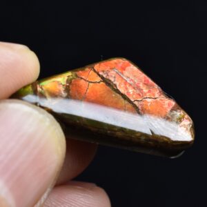 Canadian Natural Ammolite, Ammonite Freeform Polished Cabochon Specimen - 2.9cm x 1.7cm - 3.7 grams