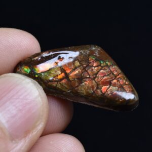 Canadian Natural Ammolite, Ammonite Freeform Polished Cabochon Specimen - 3cm x 1.6cm - 4 grams