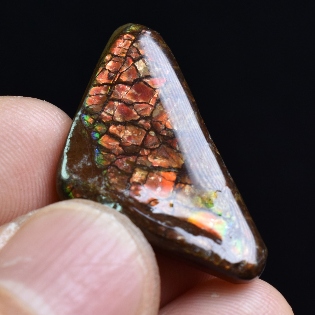 Canadian Natural Ammolite, Ammonite Freeform Polished Cabochon Specimen - 3cm x 1.6cm - 4 grams - Image 5