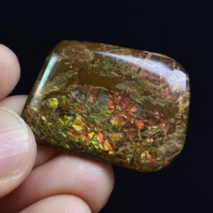 Canadian Natural Ammolite, Ammonite Freeform Polished Cabochon Specimen - 3.2cm x 2.3cm - 5.7 grams