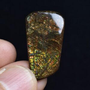 Canadian Natural Ammolite, Ammonite Freeform Polished Cabochon Specimen - 2.8cm x 1.6cm - 3.6 grams