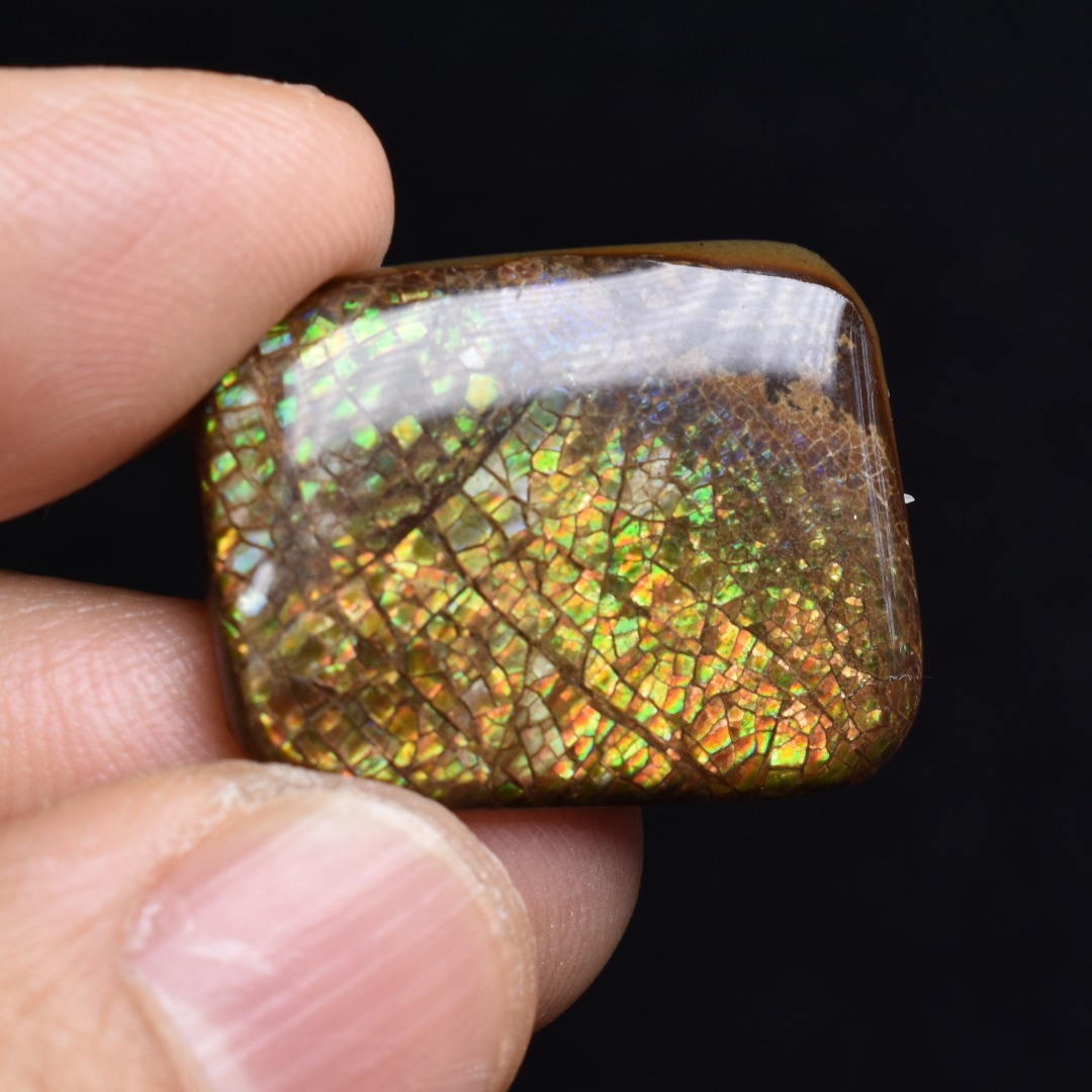 Canadian Natural Ammolite, Ammonite Freeform Polished Cabochon Specimen - 2.5cm x 1.9cm - 3.8 grams - Image 6