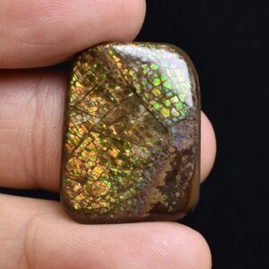 Canadian Natural Ammolite, Ammonite Freeform Polished Cabochon Specimen - 2.5cm x 1.9cm - 3.8 grams