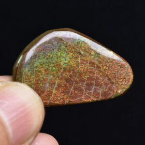 Canadian Natural Ammolite, Ammonite Freeform Polished Cabochon Specimen - 3.4cm x 2cm - 5.2 grams