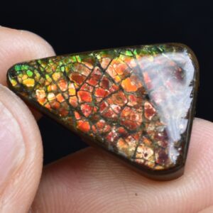 Canadian Natural Ammolite, Ammonite Freeform Polished Cabochon Specimen - 2.2cm x 1.6cm - 2.9 grams