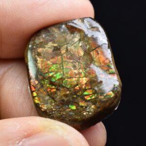 Canadian Natural Ammolite, Ammonite Freeform Polished Cabochon Specimen - 2.2cm x 1.8cm - 5.4 grams