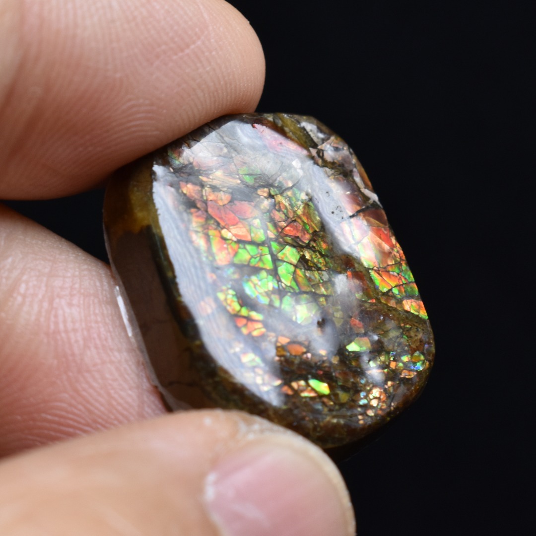 Canadian Natural Ammolite, Ammonite Freeform Polished Cabochon Specimen - 2.2cm x 1.8cm - 5.4 grams - Image 4