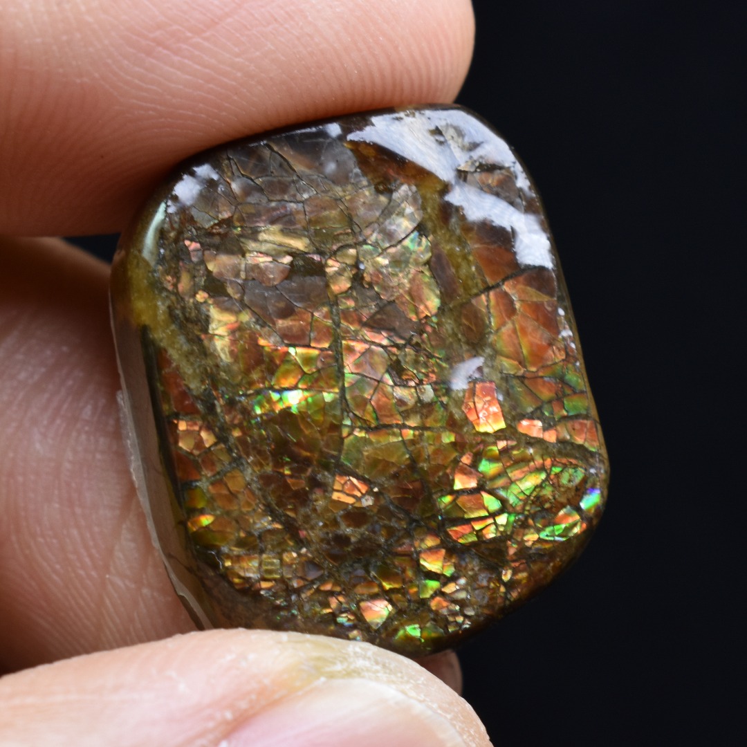 Canadian Natural Ammolite, Ammonite Freeform Polished Cabochon Specimen - 2.2cm x 1.8cm - 5.4 grams - Image 2