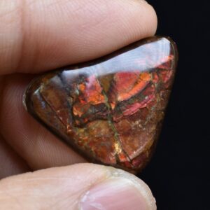 Canadian Natural Ammolite, Ammonite Freeform Polished Cabochon Specimen - 2.5cm x 2.3cm - 3.1 grams