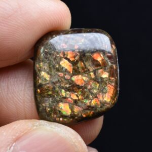 Canadian Natural Ammolite, Ammonite Freeform Polished Cabochon Specimen - 2cm x 1.7cm - 3 grams