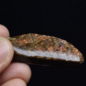 Canadian Natural Ammolite, Ammonite Freeform Polished Cabochon Specimen - 4.5cm x 1.7cm - 14.7 grams