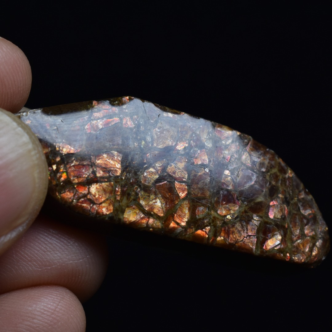 Canadian Natural Ammolite, Ammonite Freeform Polished Cabochon Specimen - 4.5cm x 1.7cm - 14.7 grams - Image 3