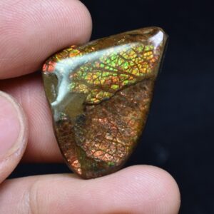 Canadian Natural Ammolite, Ammonite Freeform Polished Cabochon Specimen - 2.9cm x 2cm - 4.8 grams
