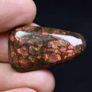 Canadian Natural Ammolite, Ammonite Freeform Polished Cabochon Specimen - 2.8cm x 1.7cm - 3.6 grams