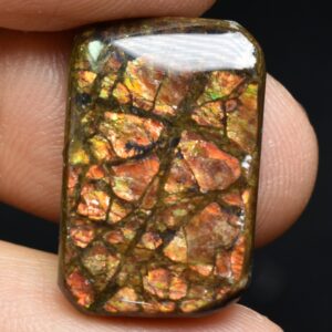 Canadian Natural Ammolite, Ammonite Freeform Polished Cabochon Specimen - 2.2cm x 1.4cm - 4.5 grams