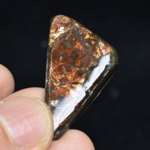 Canadian Natural Ammolite, Ammonite Freeform Polished Cabochon Specimen - 3.5cm x 2.1cm - 5 grams