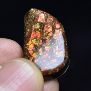 Canadian Natural Ammolite, Ammonite Freeform Polished Cabochon Specimen - 2.7cm x 1.5cm - 5.1 grams