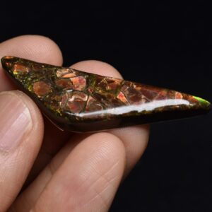 Canadian Natural Ammolite, Ammonite Freeform Polished Cabochon Specimen - 5cm x 1.2cm - 6.1 grams