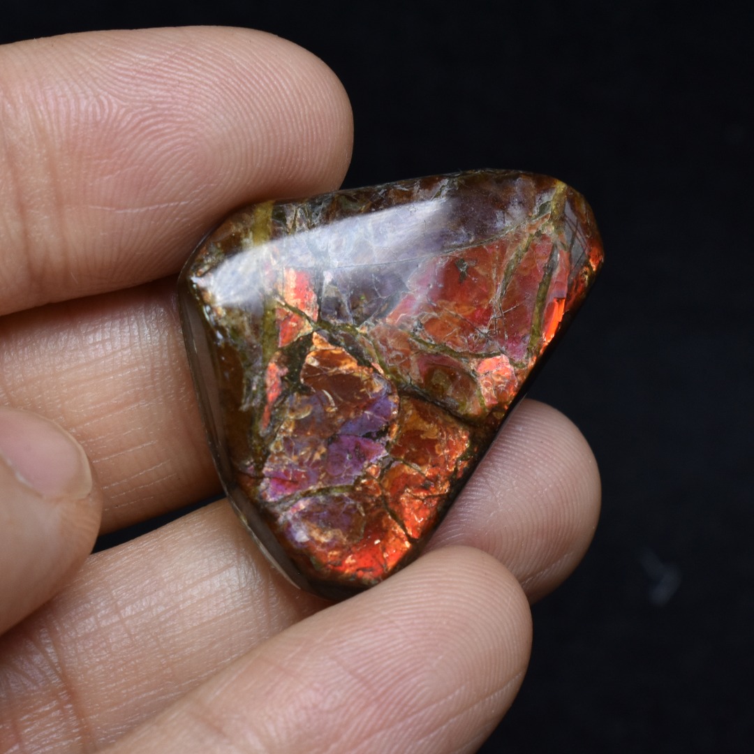 Canadian Natural Ammolite, Ammonite Freeform Polished Cabochon Specimen - 3.3cm x 2.6cm - 6.7 grams