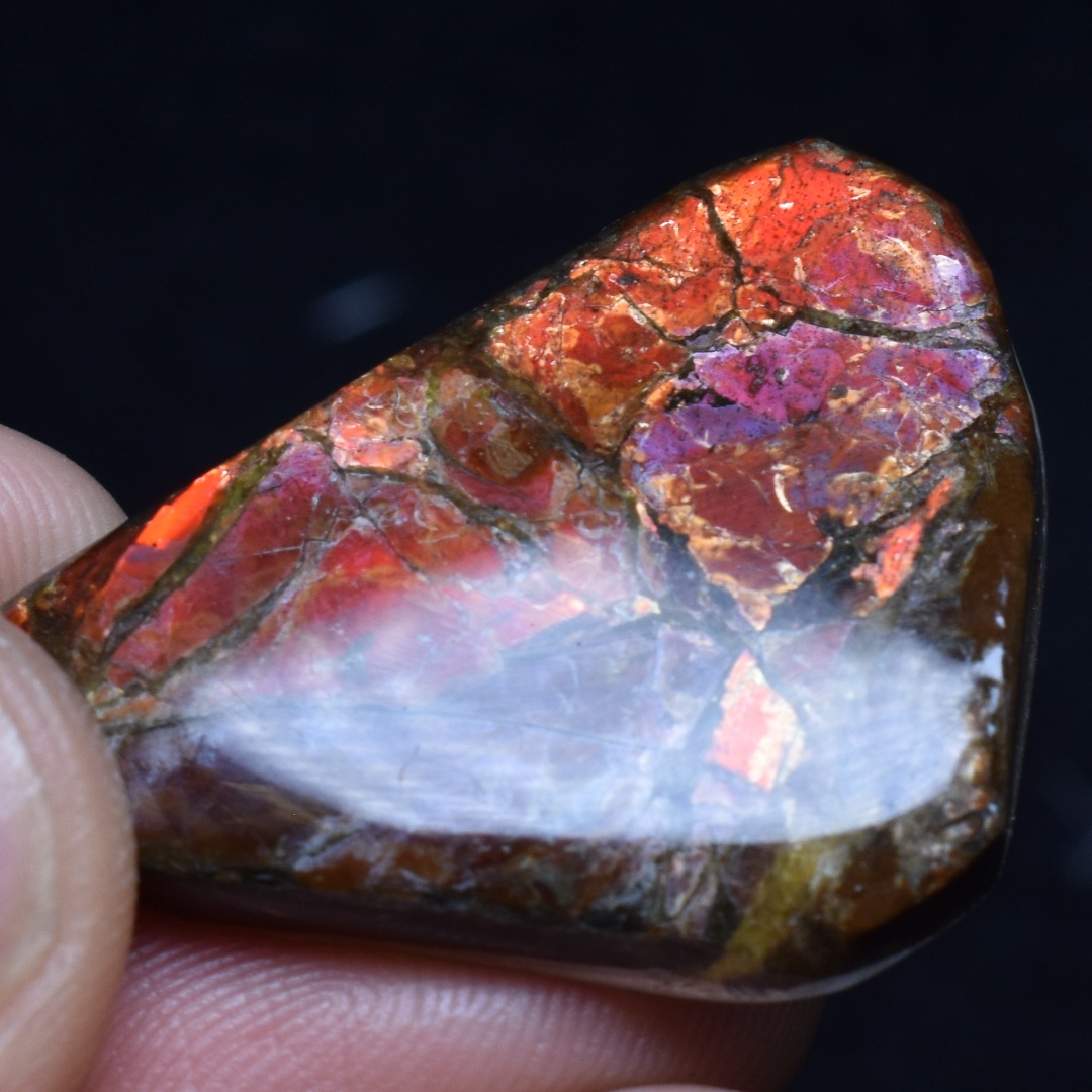 Canadian Natural Ammolite, Ammonite Freeform Polished Cabochon Specimen - 3.3cm x 2.6cm - 6.7 grams - Image 4
