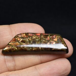 Canadian Natural Ammolite, Ammonite Freeform Polished Cabochon Specimen - 4.4cm x 1.5cm - 7.6 grams