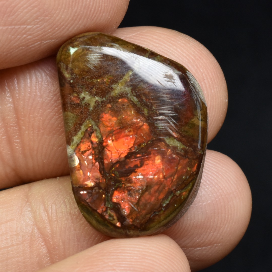 Canadian Natural Ammolite, Ammonite Freeform Polished Cabochon Specimen - 2.3cm x 1.5cm - 2.4 grams - Image 3