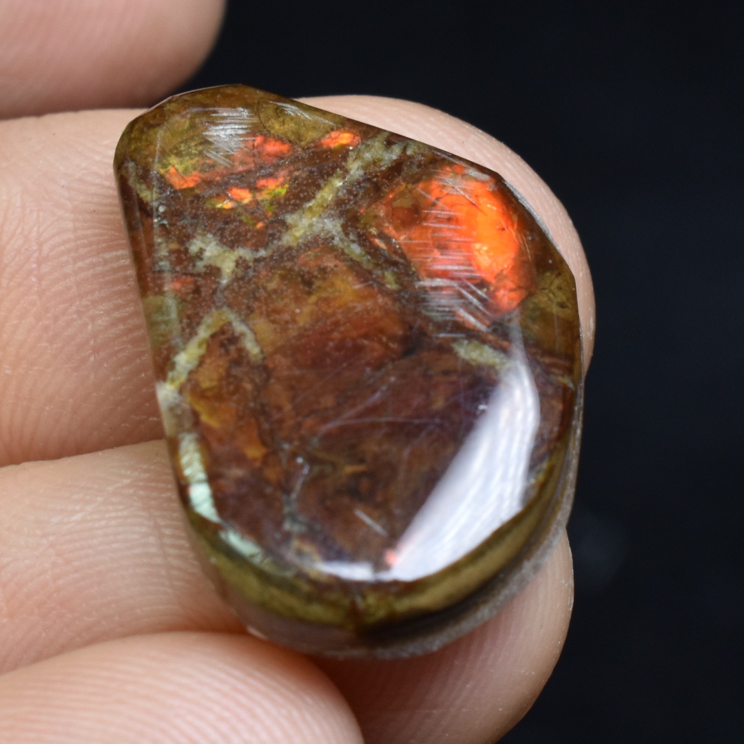 Canadian Natural Ammolite, Ammonite Freeform Polished Cabochon Specimen - 2.3cm x 1.5cm - 2.4 grams - Image 5