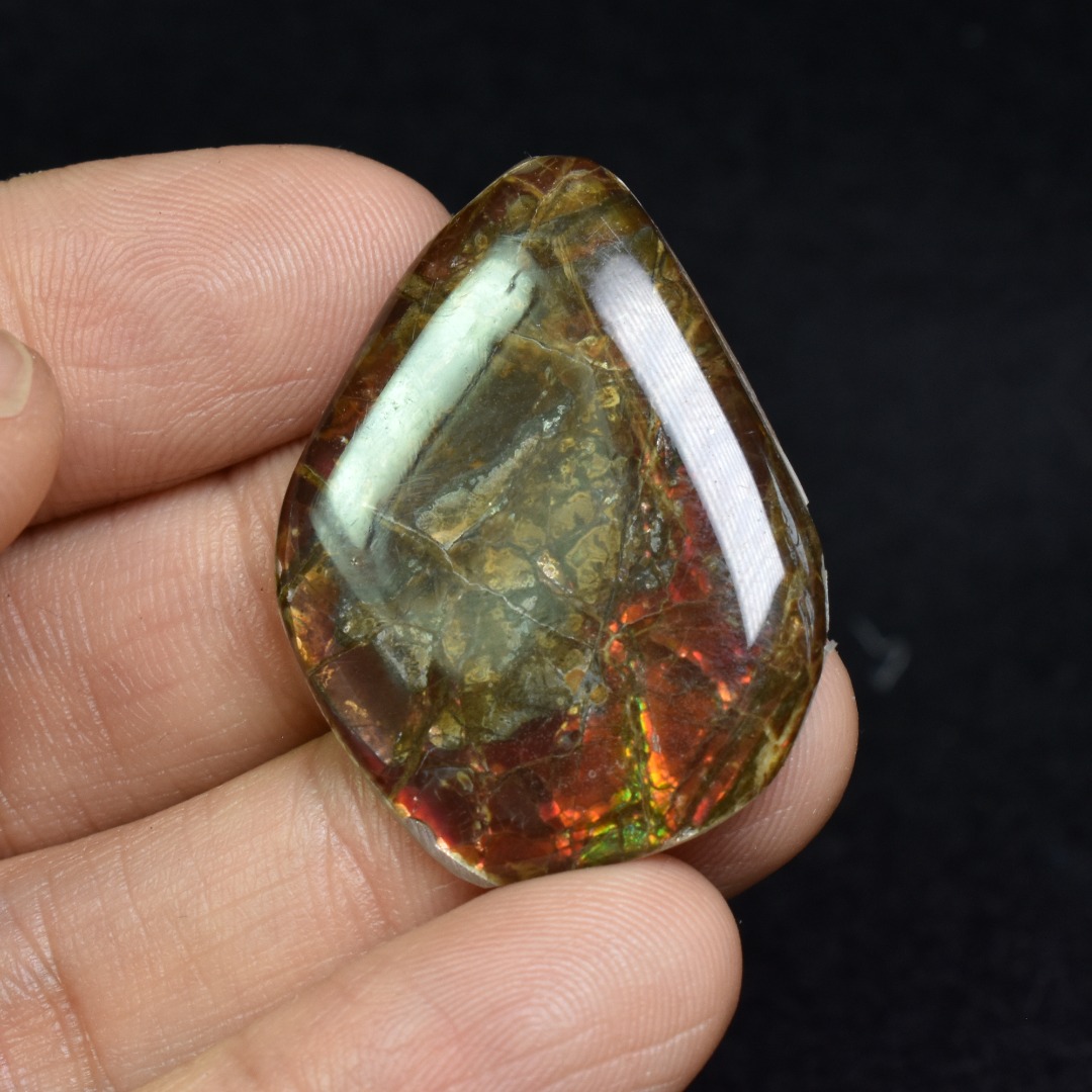 Canadian Natural Ammolite, Ammonite Freeform Polished Cabochon Specimen - 3.5cm x 2.6cm - 3.1 grams