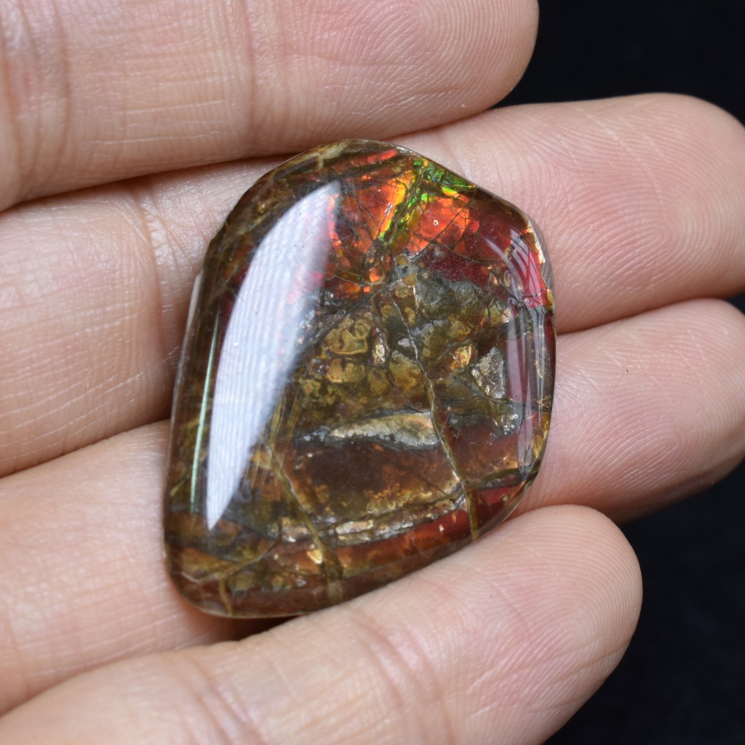 Canadian Natural Ammolite, Ammonite Freeform Polished Cabochon Specimen - 3.5cm x 2.6cm - 3.1 grams - Image 4