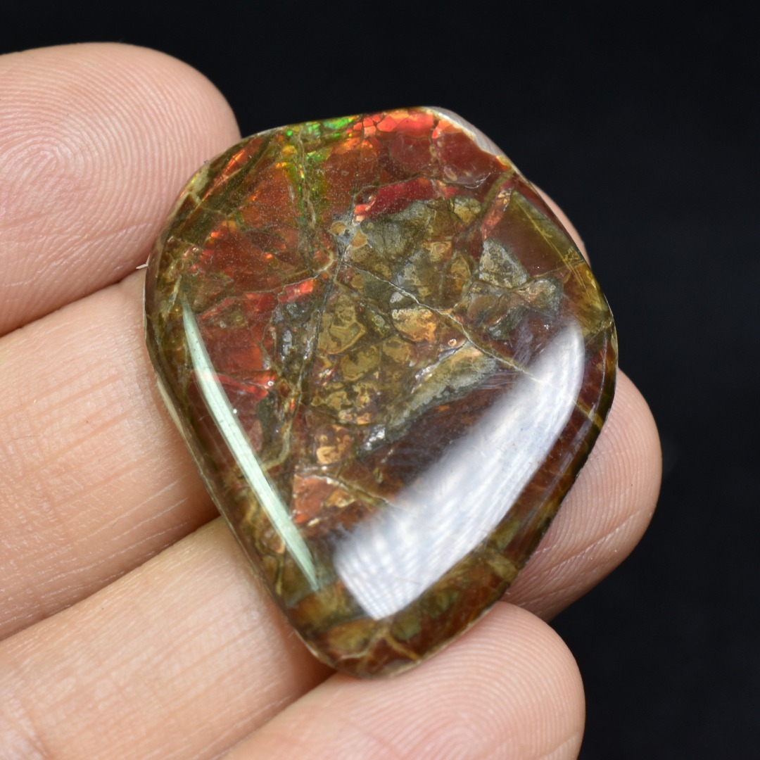Canadian Natural Ammolite, Ammonite Freeform Polished Cabochon Specimen - 3.5cm x 2.6cm - 3.1 grams - Image 3