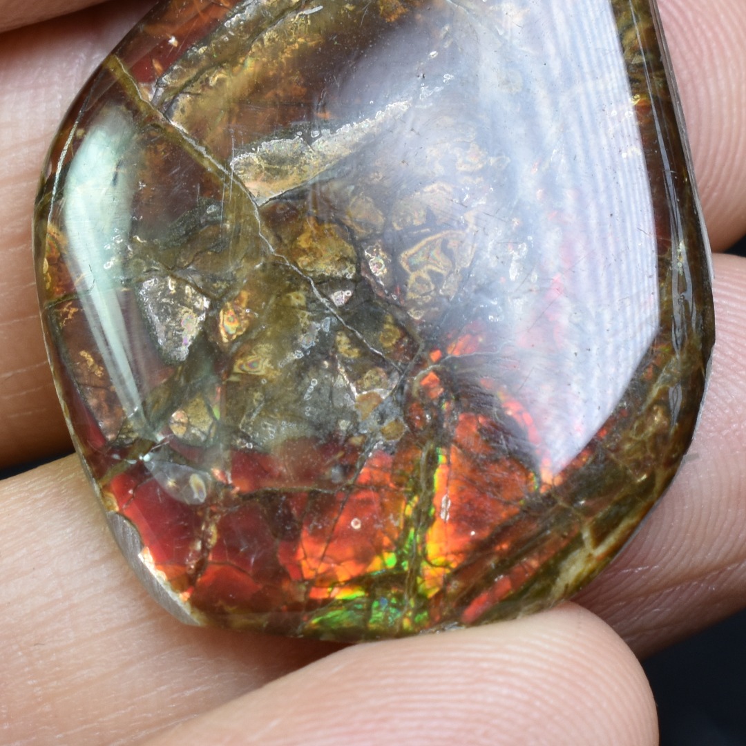 Canadian Natural Ammolite, Ammonite Freeform Polished Cabochon Specimen - 3.5cm x 2.6cm - 3.1 grams - Image 5