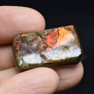 Canadian Natural Ammolite, Ammonite Freeform Polished Cabochon Specimen - 2.8cm x 1.8cm - 6.1 grams