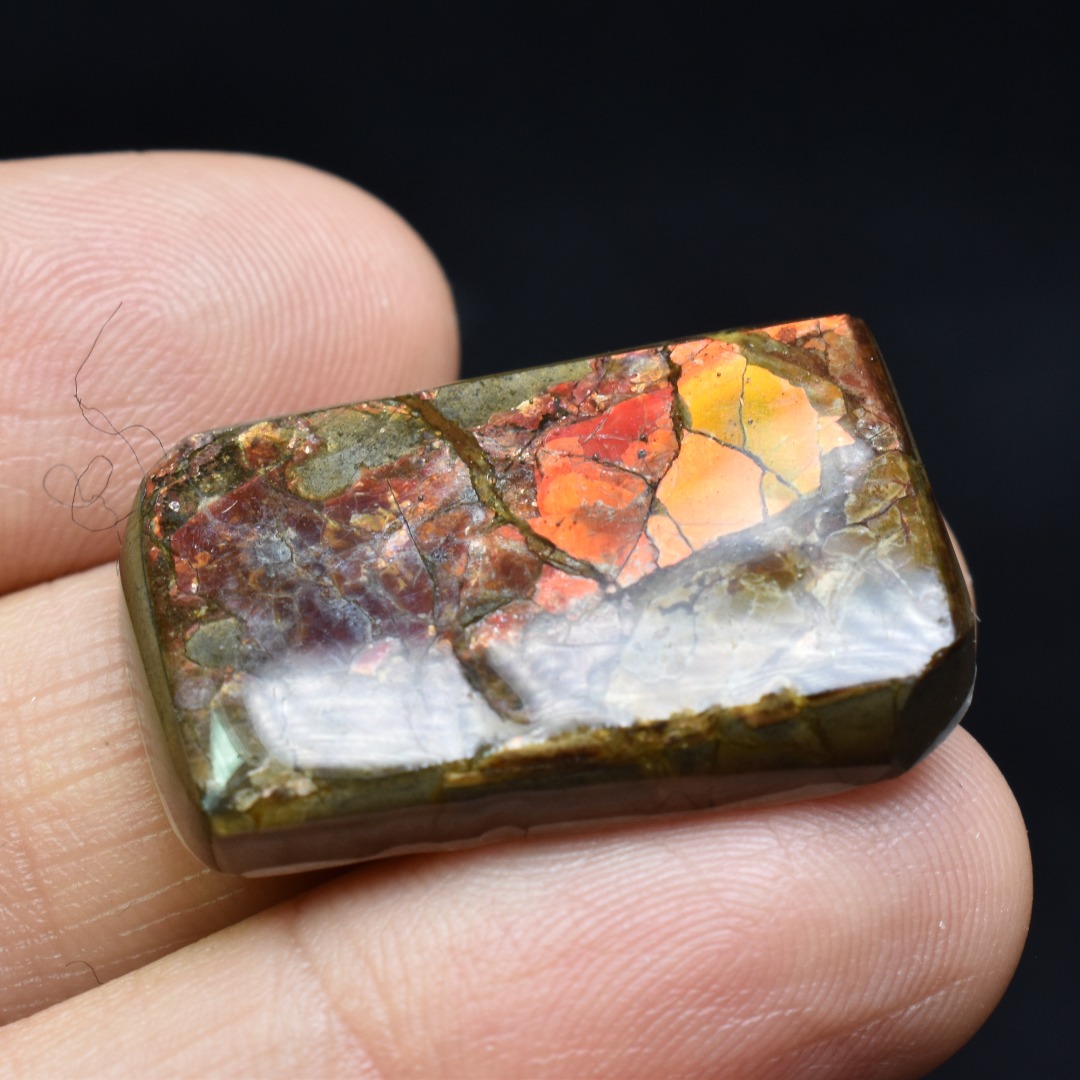 Canadian Natural Ammolite, Ammonite Freeform Polished Cabochon Specimen - 2.8cm x 1.8cm - 6.1 grams - Image 4