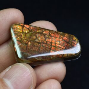 Canadian Natural Ammolite, Ammonite Freeform Polished Cabochon Specimen - 3.5cm x 2.3cm - 7.4 grams