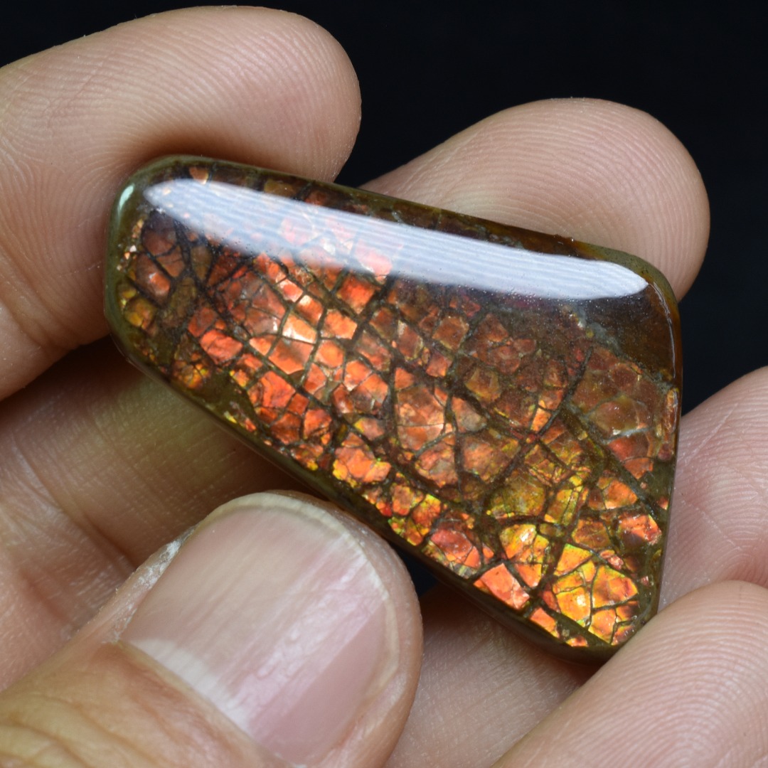 Canadian Natural Ammolite, Ammonite Freeform Polished Cabochon Specimen - 3.5cm x 2.3cm - 7.4 grams - Image 3