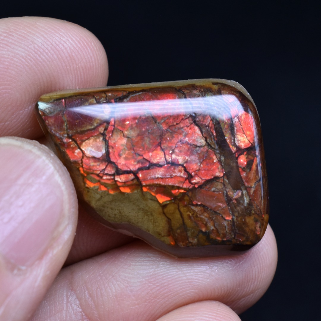 Canadian Natural Ammolite, Ammonite Freeform Polished Cabochon Specimen - 2.8cm x 2.1cm - 5.1 grams - Image 4