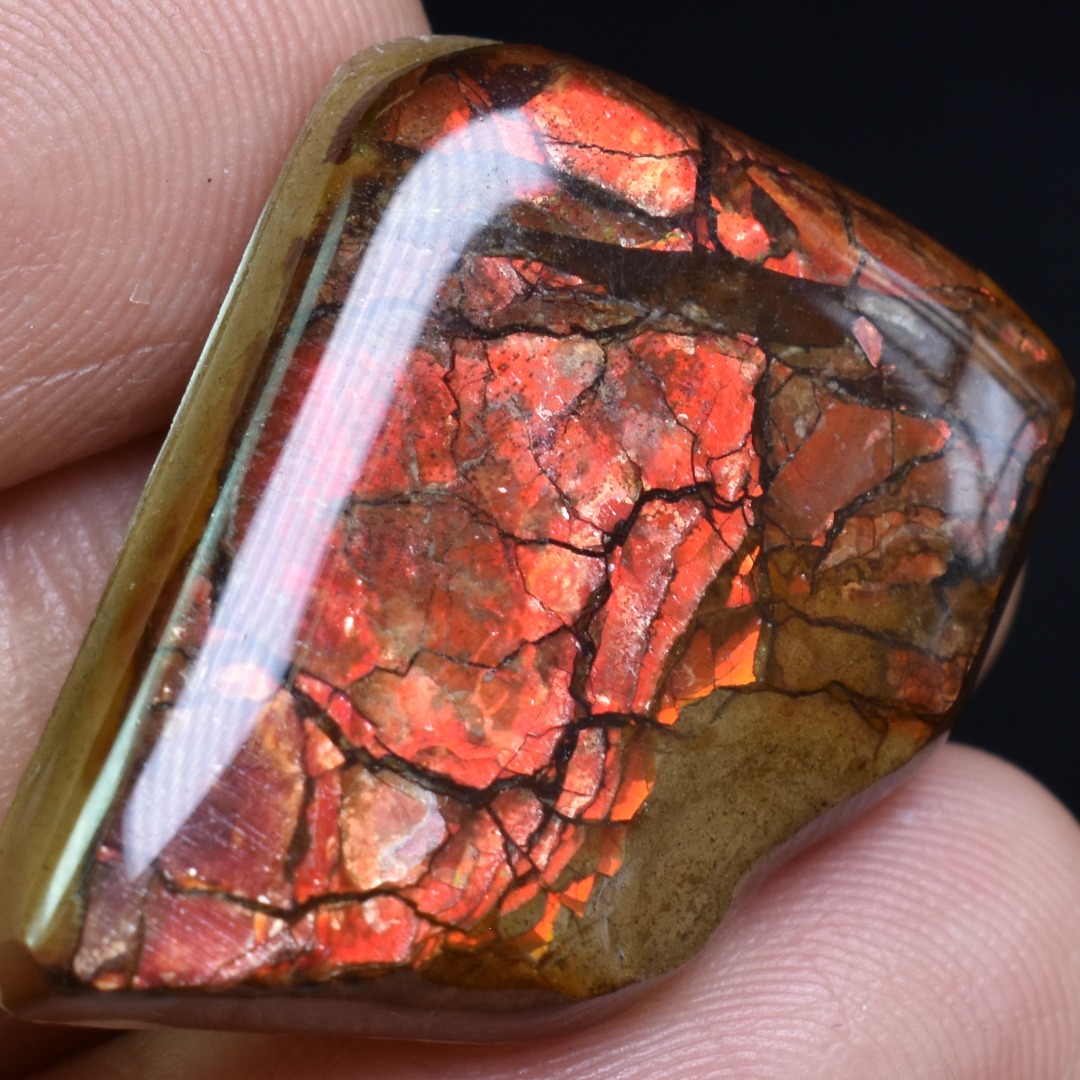 Canadian Natural Ammolite, Ammonite Freeform Polished Cabochon Specimen - 2.8cm x 2.1cm - 5.1 grams - Image 5