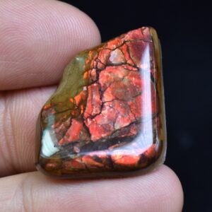 Canadian Natural Ammolite, Ammonite Freeform Polished Cabochon Specimen - 2.8cm x 2.1cm - 5.1 grams