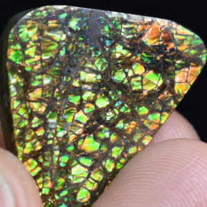 Ammolite